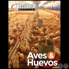 PECUARIA & NEGOCIOS - AO 13 SUPLEMENTO ESPECIAL - REVISTA 2016 - PARAGUAY 